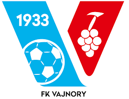 FK Vajnory 